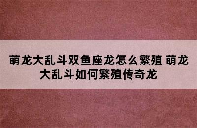 萌龙大乱斗双鱼座龙怎么繁殖 萌龙大乱斗如何繁殖传奇龙